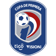 LOGO League Paraguayan Primera Division